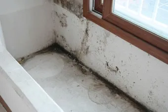 곰팡이 제거 락스 과탄산소다 환기 습기 원인 총정리_26