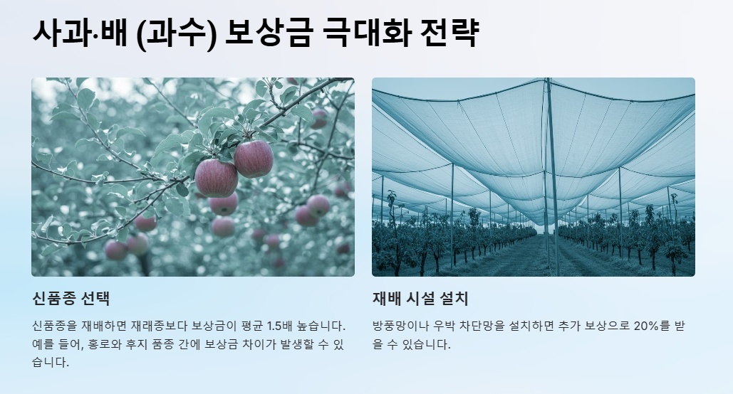 과수 보상금 극대화 전략