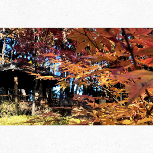 2025년 입추 계절 변화 그래프