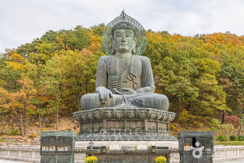 설악산 단풍 신흥사 통일대불과 가을 숲