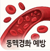 비트 효능