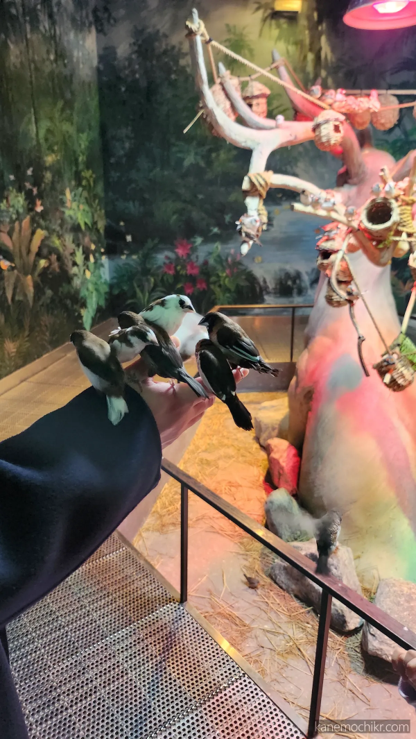 주렁주렁-새먹이주기