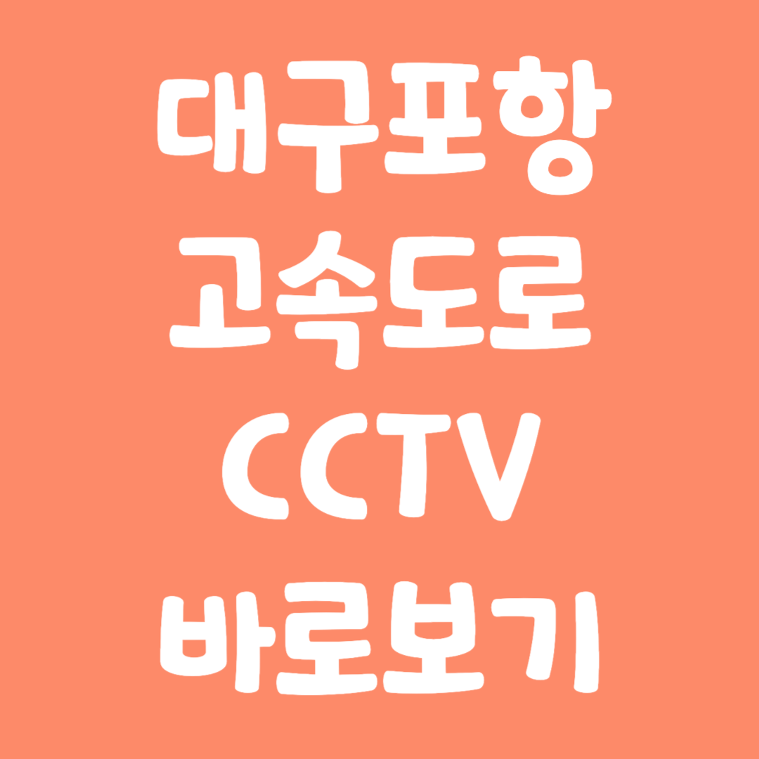 실시간 대구포항 고속도로 CCTV 바로보기