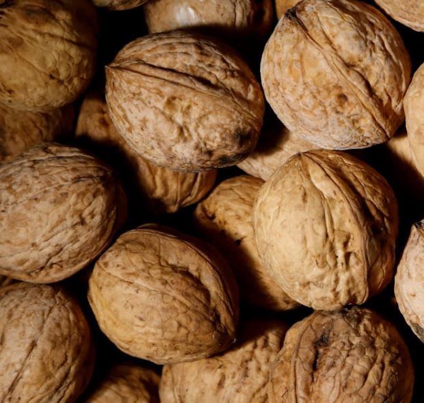 안구건조증에 좋은 음식 10가지