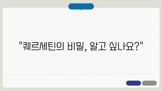 퀘르세틴 효능 및 풍부한 식품 소개