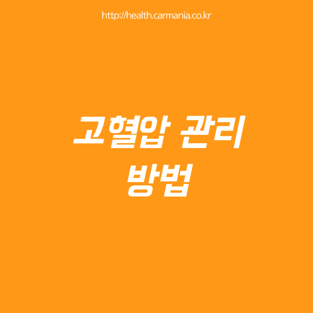 고혈압 관리 방법