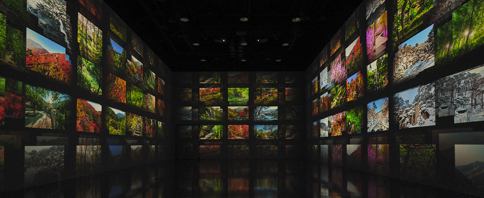 화담채 미디어아트 사진