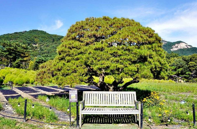 산들소리수목원