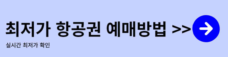 오키나와 자유여행 항공권 예약