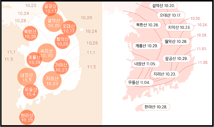 2024 단풍시기