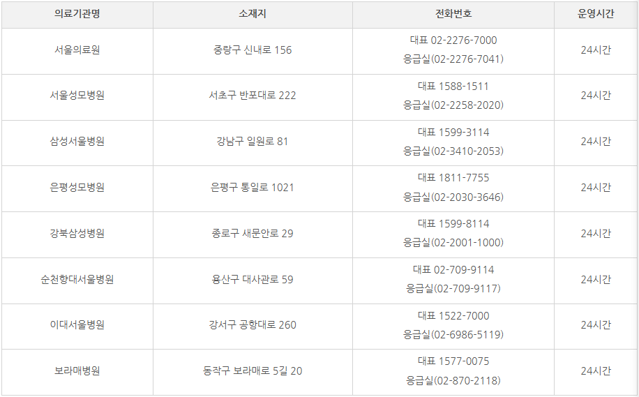 야간/휴일 진료 병원