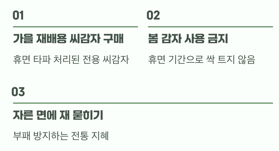 가을 농사의 성패를 가르는 씨감자 준비