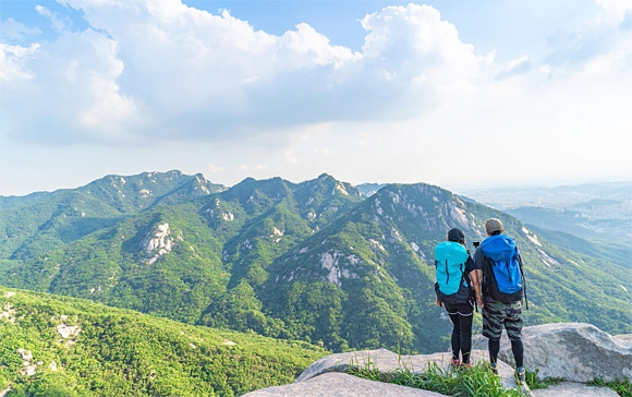 콘드로이친효능