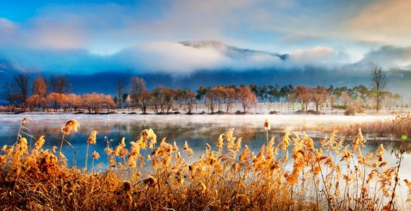 자라섬 캠핑장 예약
