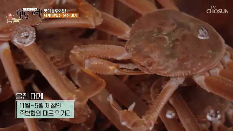 울진-대게-사진