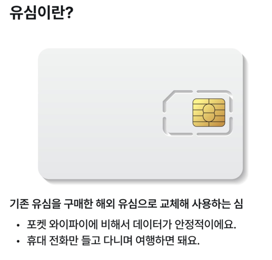 일본 여행 유심이란?