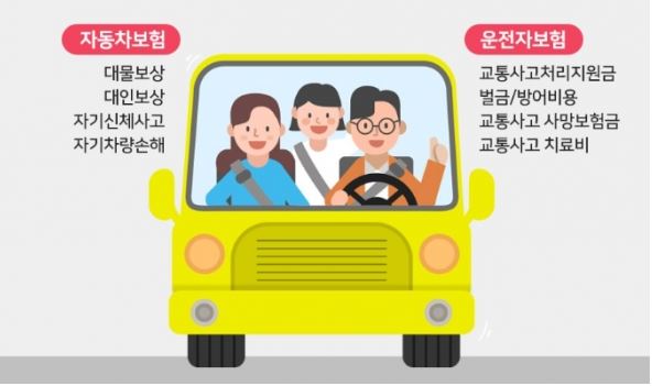 운전자보험