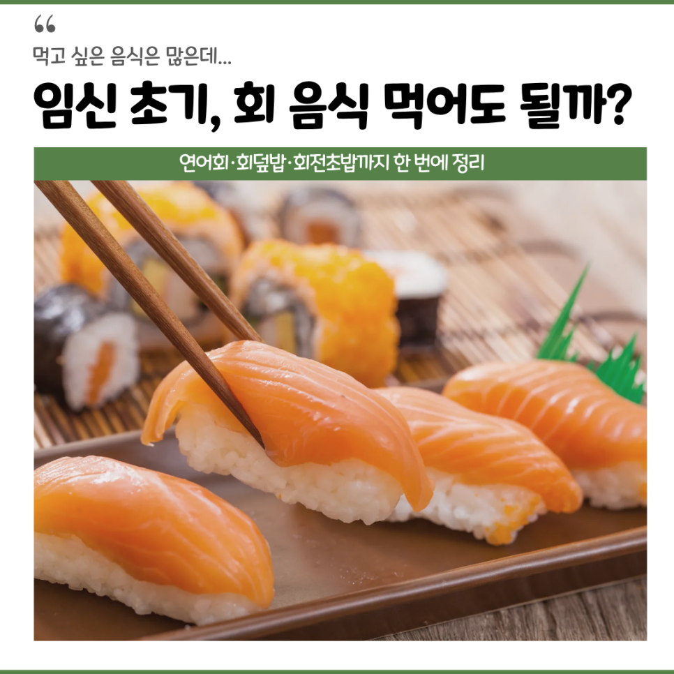 임산부 회 섭취
