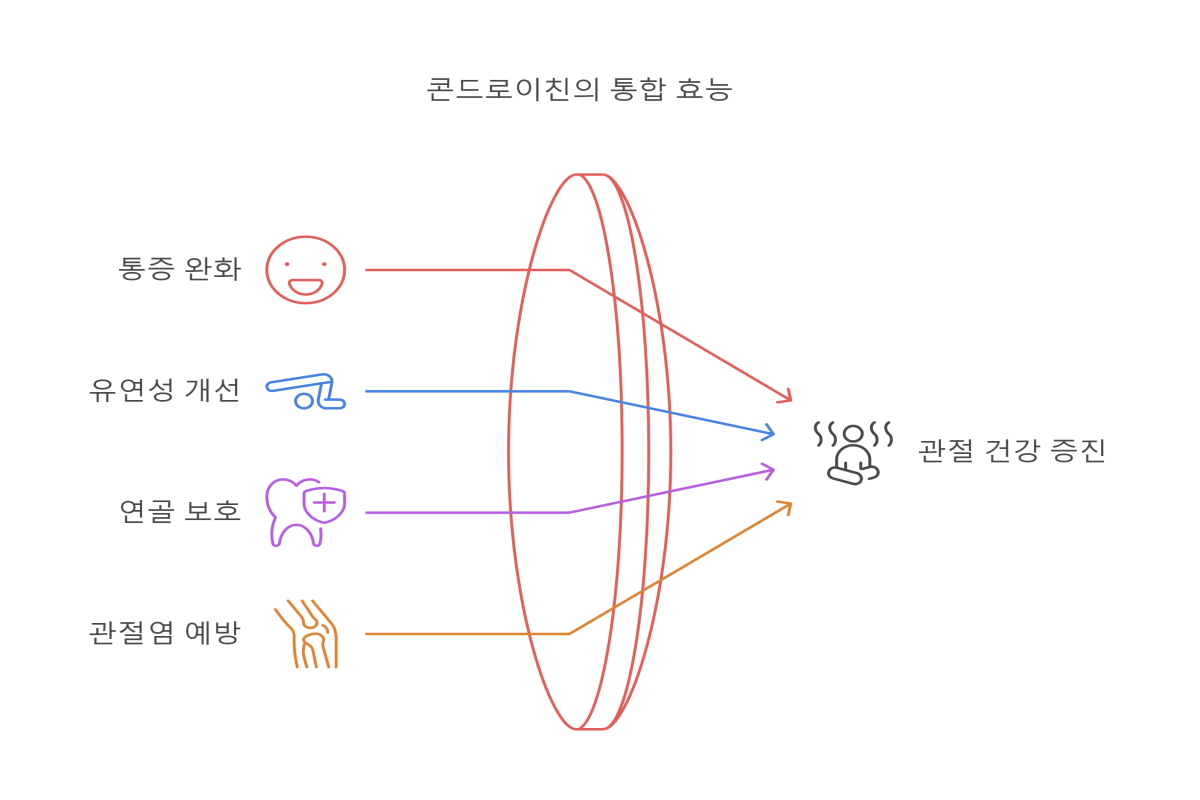 콘드로이친 효능