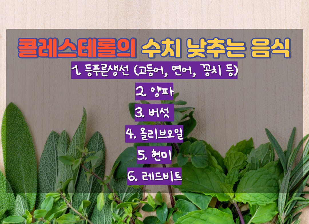 콜레스테롤 수치 낮추는 음식