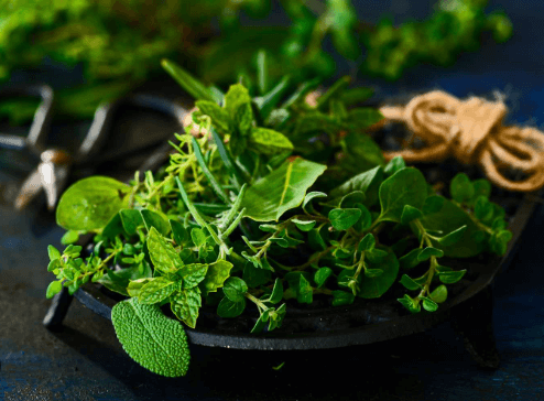 간에 좋은 영양제 추천 음식 10