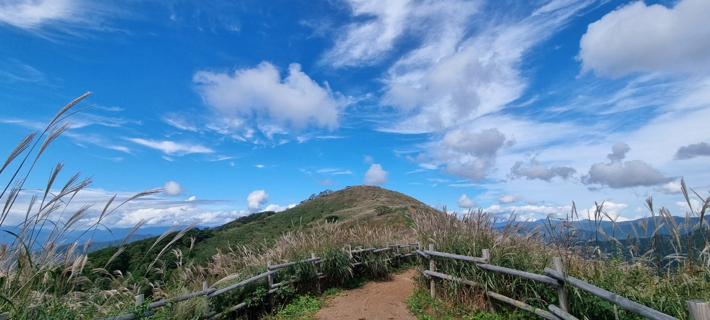 가을축제가볼만한곳
