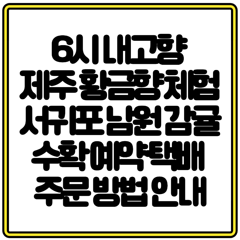 6시 내고향 제주 황금향 체험 서귀포 남원 감귤 수확 예약&middot;택배 주문 방법 안내