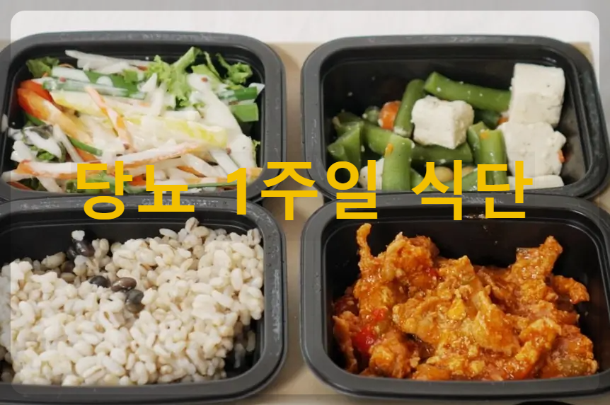 당뇨 1주일 식단