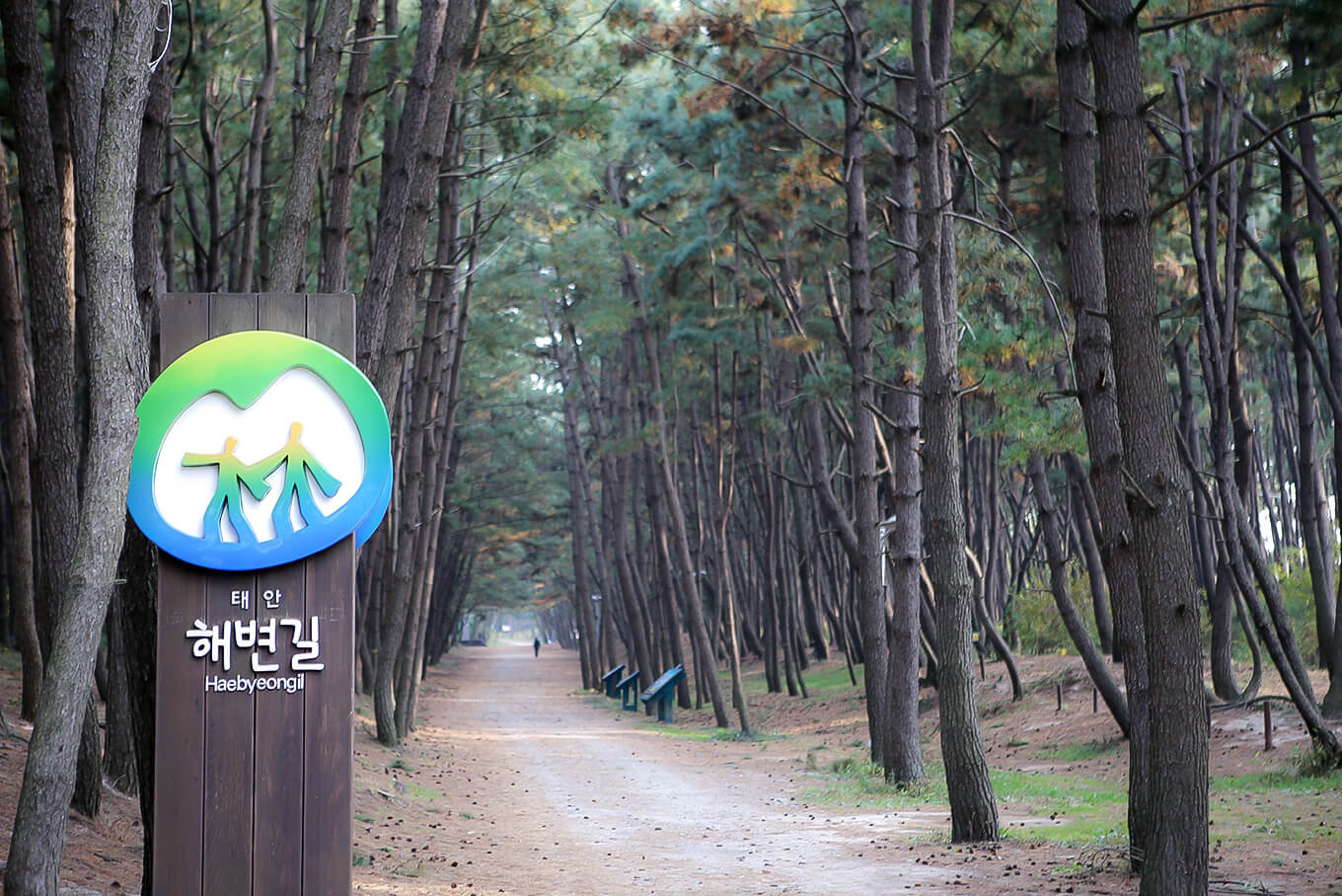 안면도수산시장 수산물 축제