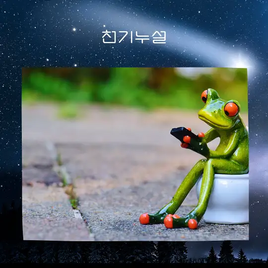 화장실 꿈해몽