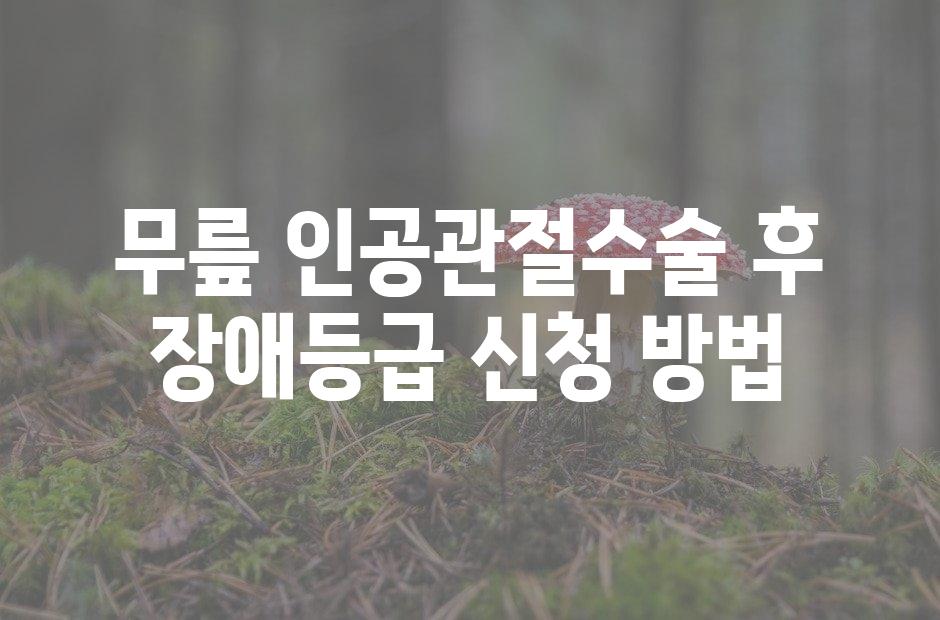 샘플 (42)