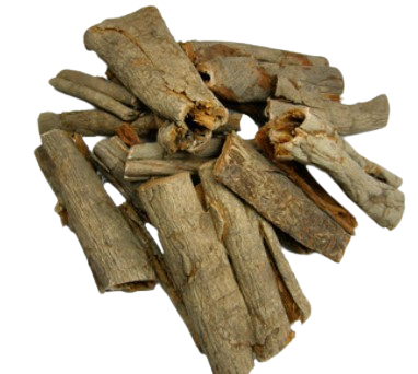 유근피(느릅나무 껍질)