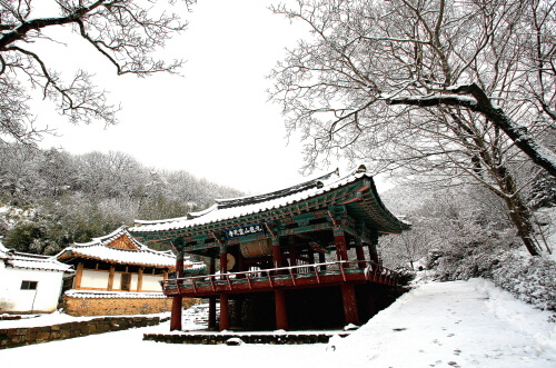 영천 가볼만한곳 베스트 10