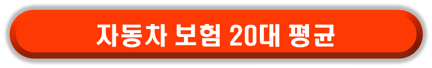20대 자동차 보험료 비교 견적