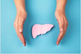 간수치-정상범위