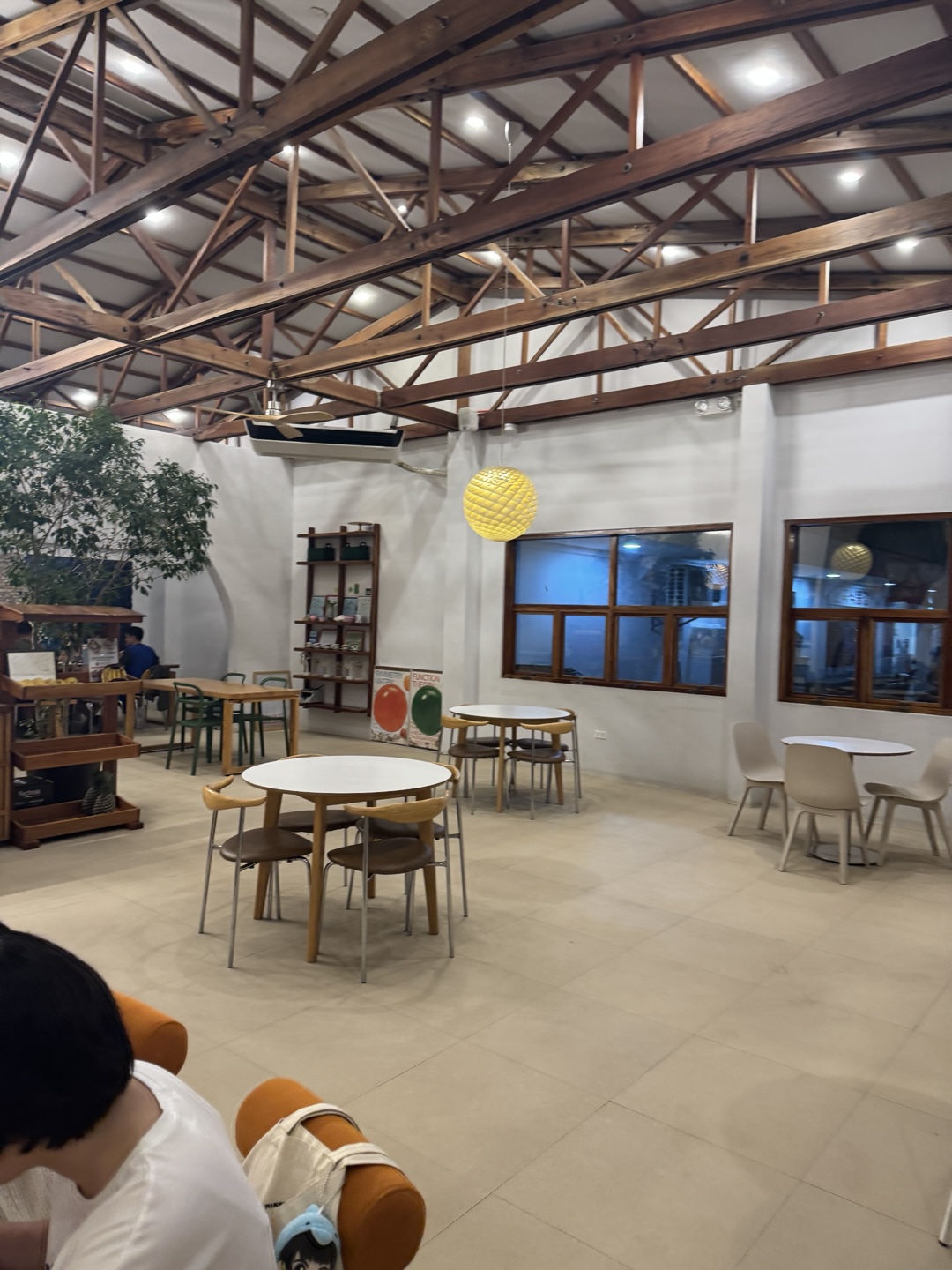 보홀 빠니보틀 추천 맛집 나무카페