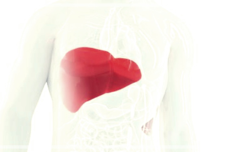 간이식 기증자 조건 간이식 조건 나이 검사 부작용 회복기간