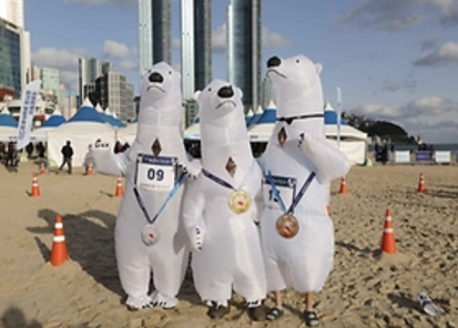 12월 축제