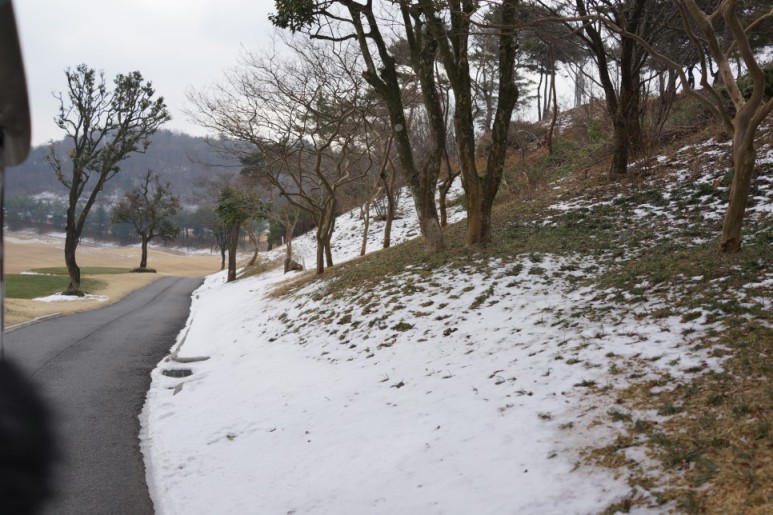 아크로 CC 전남 골프장 실외 스포츠 취미 골프