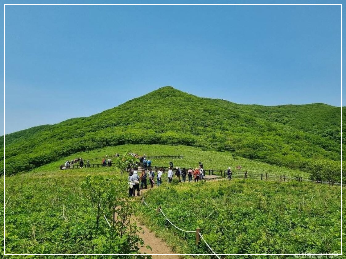 인제 가볼만한곳 베스트10 점봉산 곰배령
