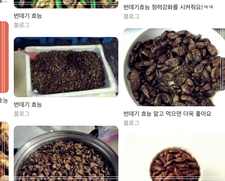 번데기의 놀라운 효능 3가지