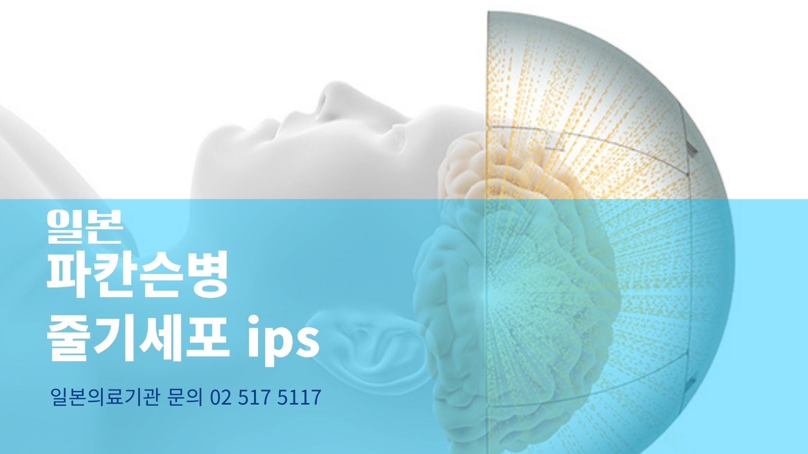 파칸슨병치료