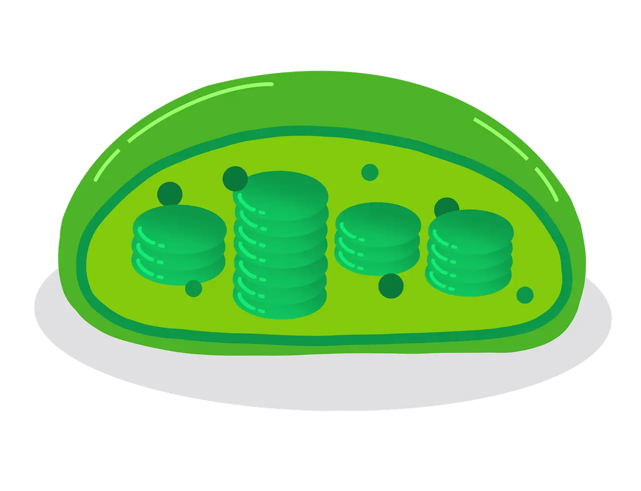 인공광합성의 120시간 내구성 전극