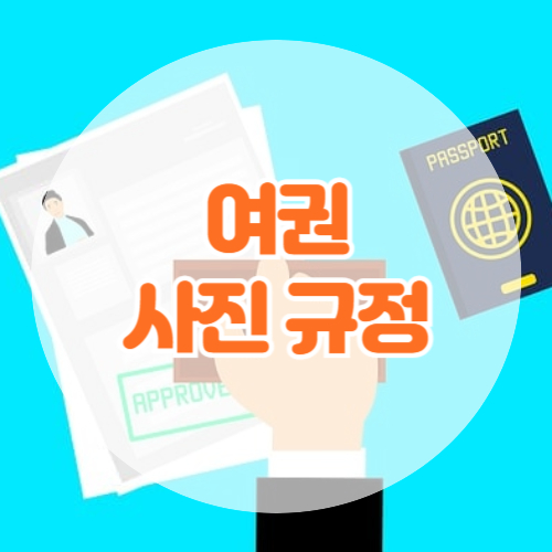 여권 사진 규정