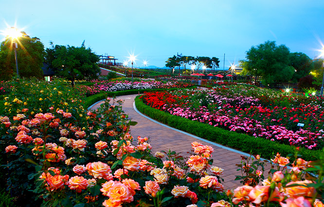 곡성세계장미축제 2025 입장료