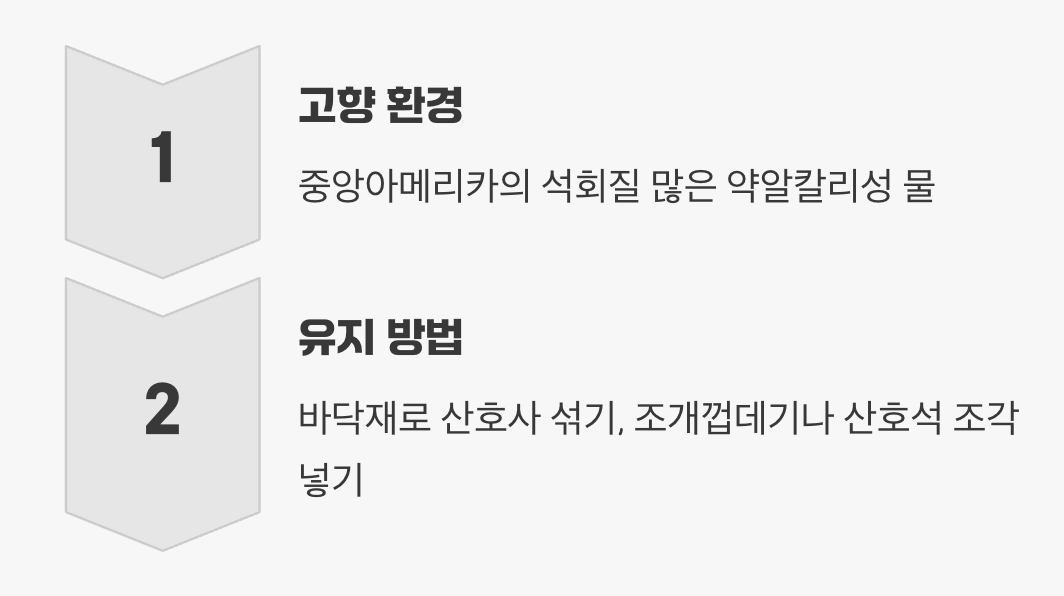 수질 관리 - '약알칼리성' 물을 좋아해요