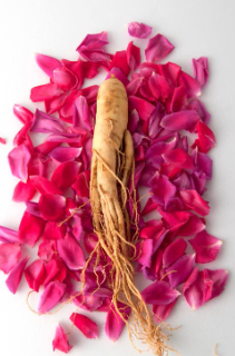 금산 삼계탕축제