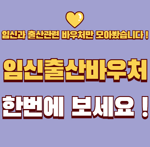 임신 출산 바우처 한 번에 보기 ! 헤깔리고 복잡한 정부지원 한눈에 보세요 !