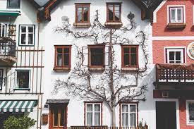 2023년 청년 매입임대주택 공급 시청 대상과 지원내용 서울