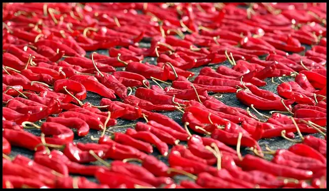 김장 채소 등 재료 할인 최대 50%(+절임배추 사전예약)